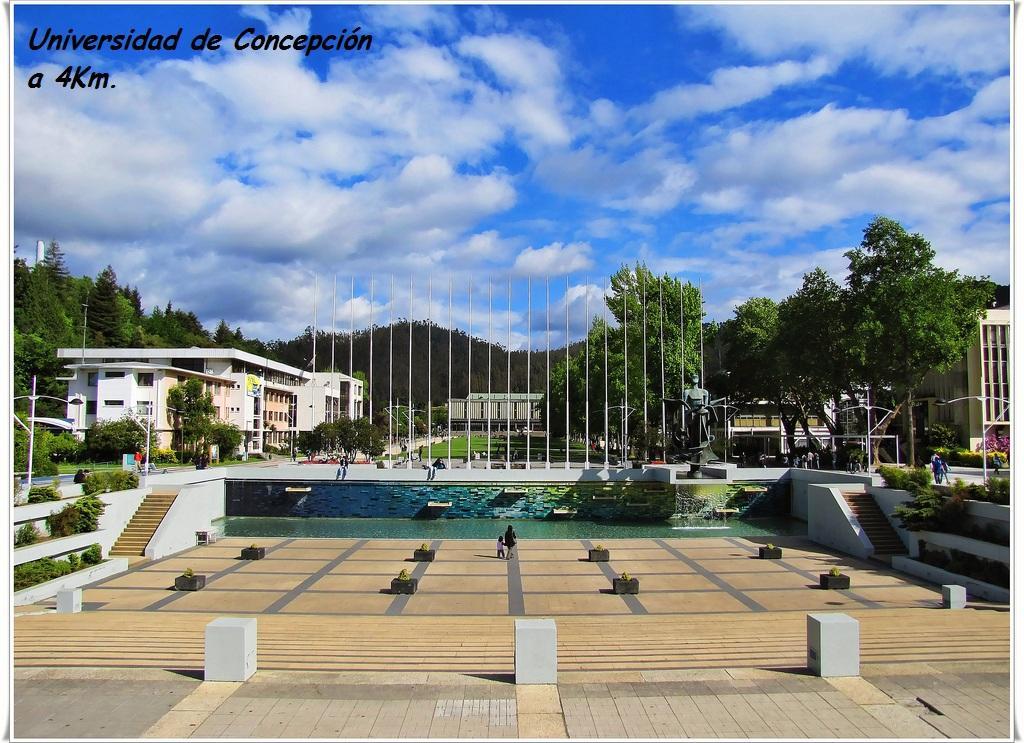 Casa San Valentin Concepción Exterior foto